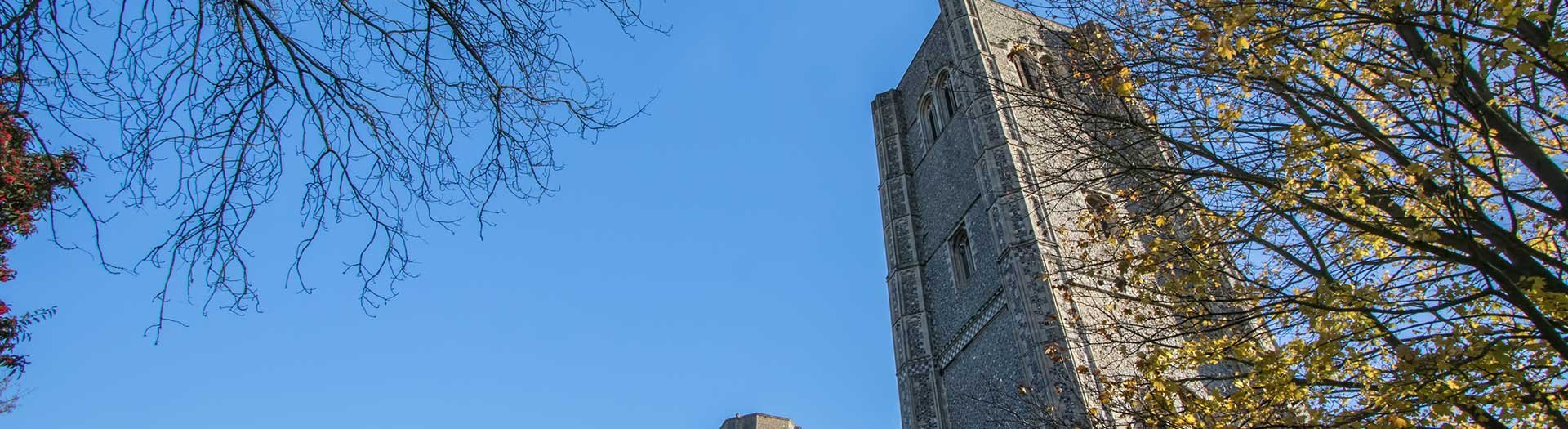 Drainage specialists Wymondham